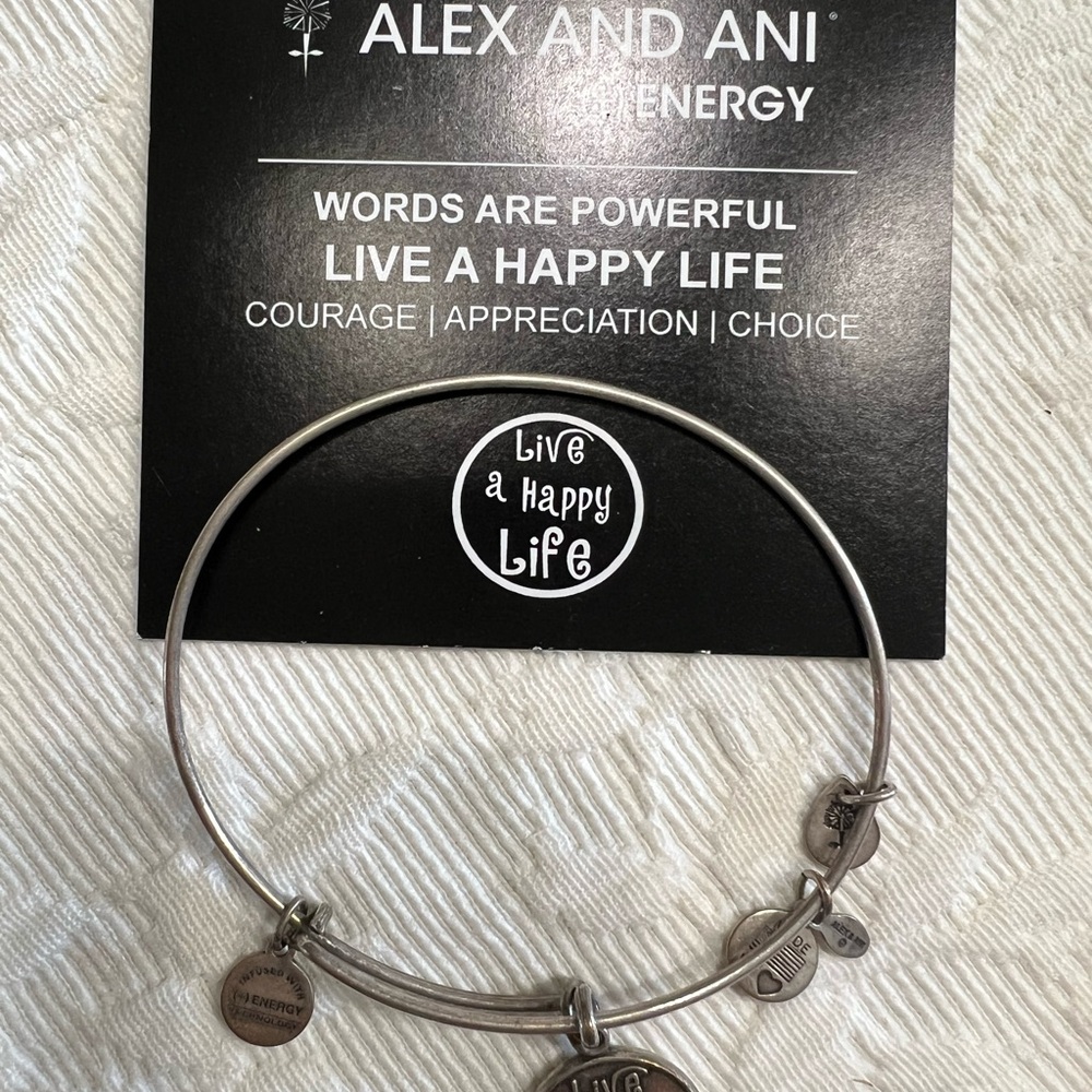Alex and Ani Silver Bracelet with Inspirational Charm